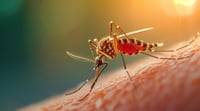 La malaria: ¿cómo reconocer sus síntomas?