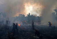 Incendios en 'selvas maduras' de la Amazonía aumentan 152 % en 2023
