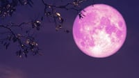 ¿Cuándo se verá la Luna Rosa en México?