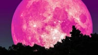 ¿Qué es la Luna Rosa y podrá verse desde La Laguna?