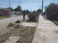 Imagen Dan mantenimiento al camellón central del bulevar Girasoles de la colonia Solidaridad de Gómez Palacio