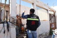 Refuerzan acciones contra presencia de ratas en colonia El Roble II de Torreón