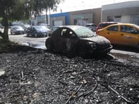 Imagen Incendio de palma provoca daños en automóvil en Torreón