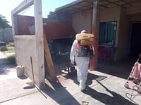 ¿Cómo solicitar un servicio de fumigación en Torreón?