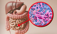 Infusión que protege la microbiota intestinal