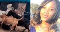 Mujer muere al ser atacada por perros luego de golpear a su hijo