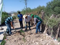 Plantan más de 200 árboles en la Reserva Ecológica Municipal Sierra y Cañón de Jimulco