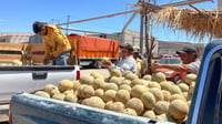 Melón y sandía en su precio más bajo durante el fin de semana en San Pedro