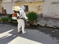 Reportan seis casos positivos de dengue; cinco son de Torreón