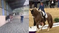 Difunden video de la jinete Charlotte Dujardin maltratando a caballo