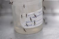 Coahuila alcanza los 187 casos de dengue y supera al 2023