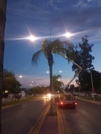 Atienden alumbrado en bulevar M. Alemán