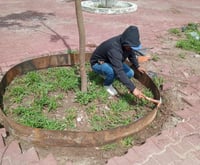 Autoridades descartan hundimientos en plaza de la colonia Las Rosas