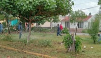 Servicios Públicos de Gómez Palacio refuerza medidas para evitar la proliferación del dengue