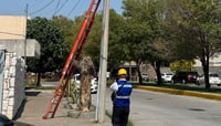 Retiran cables en desuso en la colonia Torreón Jardín