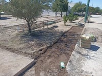 Construyen área verde en Real del Sol