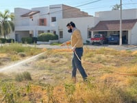 El diputado Antonio Attolini encabeza labores de fumigación contra el dengue