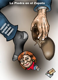 Cartón de Guayo