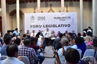 Presentará diputada plataforma legislativa