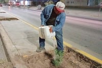 Capacitan a 200 personas en manejo integral de arbolado urbano en Torreón