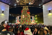 Monclova da inicio a la Navidad con encendido del Pino monumental