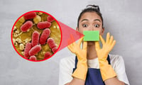 La esponja de cocina tiene más microbios que un inodoro