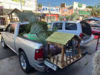 En San Pedro la familia Rodríguez ofrece plantas tradicionales para el Nacimiento del Niño Dios