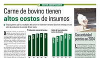 Carne de bovino tienen altos costos de insumos