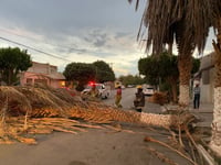 Emiten recomendaciones ante la temporada de tolvaneras en La Laguna