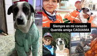 'Te vamos a extrañar', cientos de laguneros despiden a la perrita 'Caguamita' de Torreón