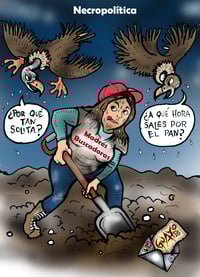 Cartón de Guayo