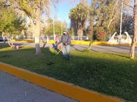 Mejoran imagen de bulevar Alemán