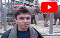 Primer video subido a YouTube cumple 20 años de existencia