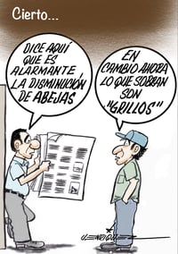 Cartón de Enríquez