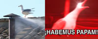Habemus Papam: Reaccionan en redes a humo blanco del Vaticano