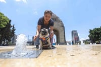 Aumenta la temperatura en México más que el promedio del planeta