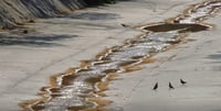 Nuevo León multa a Ternium con 80 mdp por contaminar el arroyo La Talaverna