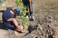 Mediante esquema de Servicio Comunitario del Centro de Justicia Municipal reforestan la asociación 'Ciudad de los Niños'