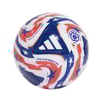 ¿Cuáles son las espectativas en torno a los equipos mexicanos en el próximo mundial de clubes?