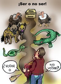 Cartón de Guayo
