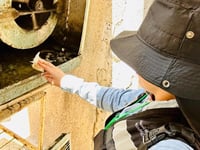 Intensifican acciones preventivas contra dengue