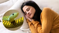 ¿Has soñado con serpientes recientemente? Estos podrían ser los significados, según expertos