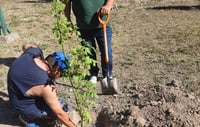 Durango fortalece su reforestación pero deja fuera a La Laguna