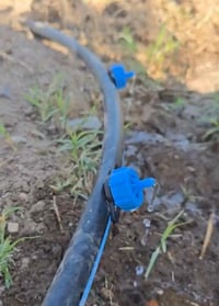 Municipio de Torreón cambia pipas por riego por goteo y composta en áreas verdes