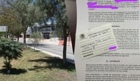 Presentan amparo contra tala de árboles por obra en Torreón