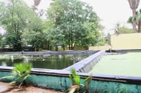 Evalúan método de electrocoagulación para reactivar planta del bosque Venustiano Carranza