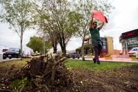 CCE respalda proyecto Abastos-Independencia y llama a no politizar el desarrollo de infraestructura en Torreón