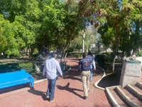 Reemplazarán árboles secos del Parque Morelos por nuevos ejemplares de seis metros de altura