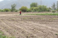 En riesgo el ciclo agrícola 2025-2026 en la Comarca Lagunera por escasez de lluvias