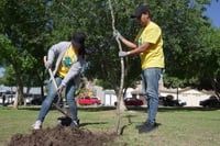 Ciudadanía y gobierno siembran futuro verde con más de 2,500 árboles plantados en 2025 en Torreón